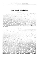 37381_OBJ-Thumbnail Image.jpg