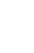 37453_OBJ-Thumbnail Image.jpg