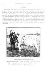 37517_OBJ-Thumbnail Image.jpg