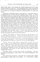 37580_OBJ-Thumbnail Image.jpg