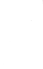 37650_OBJ-Thumbnail Image.jpg