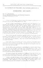 3781_OBJ-Thumbnail Image.jpg
