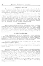 37863_OBJ-Thumbnail Image.jpg