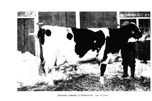 38061_OBJ-Thumbnail Image.jpg