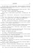 38193_OBJ-Thumbnail Image.jpg