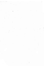 38393_OBJ-Thumbnail Image.jpg
