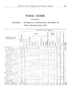38482_OBJ-Thumbnail Image.jpg