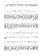 3848_OBJ-Thumbnail Image.jpg