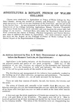 38496_OBJ-Thumbnail Image.jpg