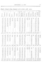 384_OBJ-Thumbnail Image.jpg