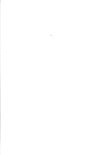38533_OBJ-Thumbnail Image.jpg