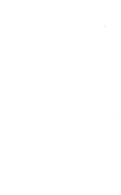 38588_OBJ-Thumbnail Image.jpg