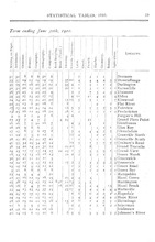 3869_OBJ-Thumbnail Image.jpg
