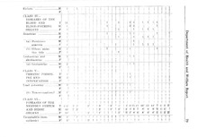 38949_OBJ-Thumbnail Image.jpg