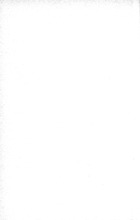 38953_OBJ-Thumbnail Image.jpg