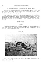 39161_OBJ-Thumbnail Image.jpg