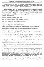 39191_OBJ-Thumbnail Image.jpg