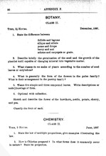 39231_OBJ-Thumbnail Image.jpg