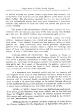 39347_OBJ-Thumbnail Image.jpg
