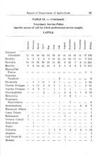39367_OBJ-Thumbnail Image.jpg