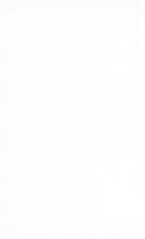 39373_OBJ-Thumbnail Image.jpg