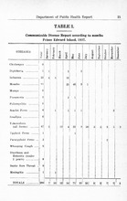 39384_OBJ-Thumbnail Image.jpg
