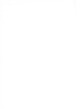 39413_OBJ-Thumbnail Image.jpg