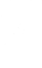 39484_OBJ-Thumbnail Image.jpg