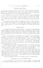 39489_OBJ-Thumbnail Image.jpg