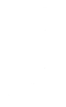 39493_OBJ-Thumbnail Image.jpg