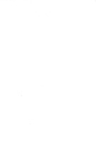 39515_OBJ-Thumbnail Image.jpg