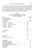 39547_OBJ-Thumbnail Image.jpg