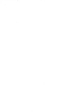39560_OBJ-Thumbnail Image.jpg
