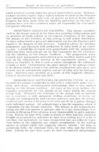 39786_OBJ-Thumbnail Image.jpg