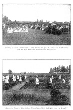 397_OBJ-Thumbnail Image.jpg