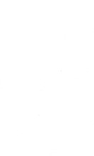 39825_OBJ-Thumbnail Image.jpg