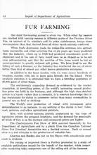39867_OBJ-Thumbnail Image.jpg