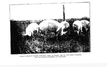 39915_OBJ-Thumbnail Image.jpg