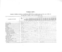 39944_OBJ-Thumbnail Image.jpg