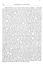 40045_OBJ-Thumbnail Image.jpg