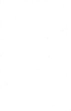 40303_OBJ-Thumbnail Image.jpg