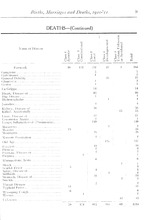 40548_OBJ-Thumbnail Image.jpg