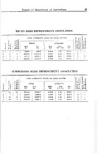 40554_OBJ-Thumbnail Image.jpg