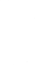 4058_OBJ-Thumbnail Image.jpg