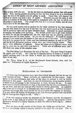 40600_OBJ-Thumbnail Image.jpg