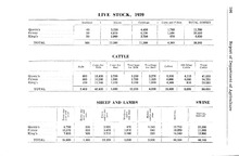 40624_OBJ-Thumbnail Image.jpg