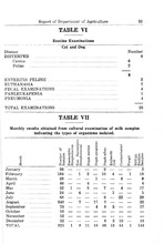 40763_OBJ-Thumbnail Image.jpg