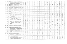 40807_OBJ-Thumbnail Image.jpg