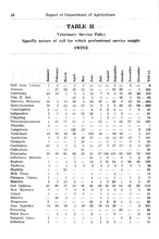 40840_OBJ-Thumbnail Image.jpg