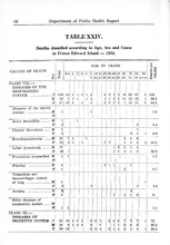 40850_OBJ-Thumbnail Image.jpg